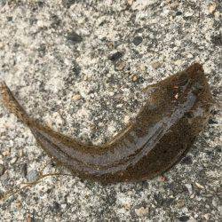 キスは足元に！