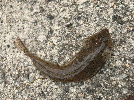 キスは足元に！