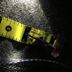 シーバスナイトゲーム