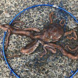 エリアに載ってない場所で