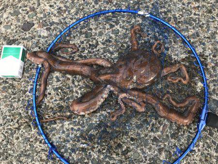 エリアに載ってない場所で