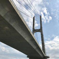 海釣りポート田尻 釣堀