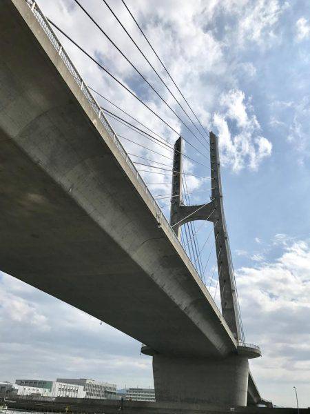 海釣りポート田尻 釣堀