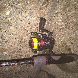 メバルが釣りたくて！