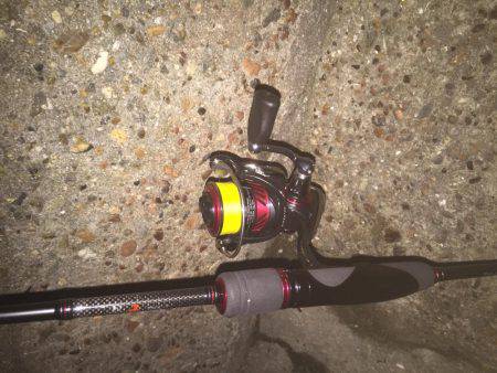 メバルが釣りたくて！