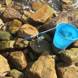 ガシラ釣り入門