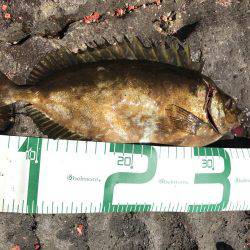 見島 沖磯フカセ釣り