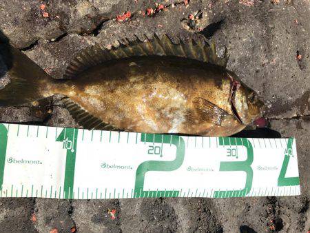 見島 沖磯フカセ釣り