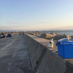 ショアジギング