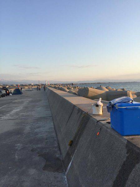 ショアジギング