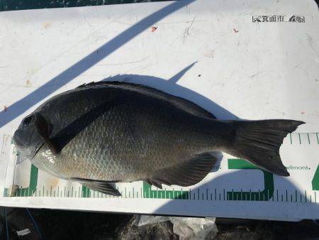沖ノ島磯フカセ釣り