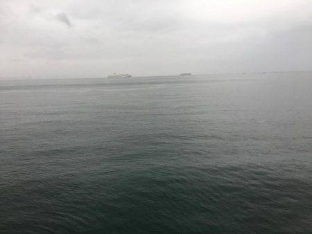 雨の中、エソだけ