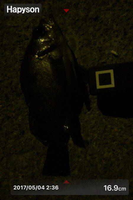 フィッシュホルダーハピソン