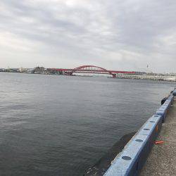 波止フカセでランガン