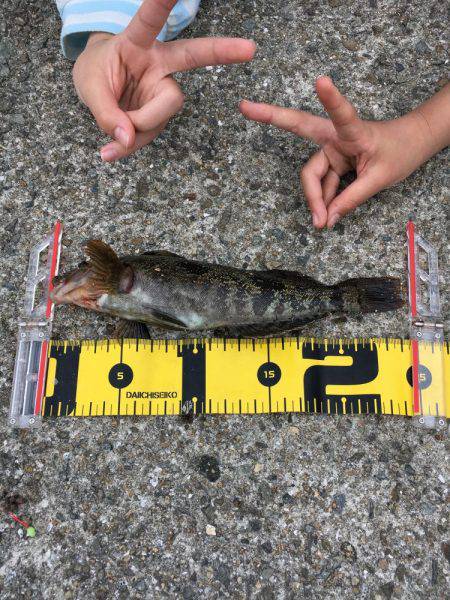 カレイにアブラメ