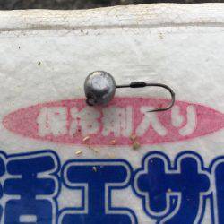 イイねー虫ヘッド