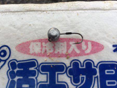 イイねー虫ヘッド