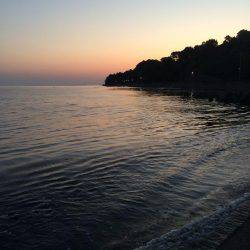 初春イカ。初キロアップ。