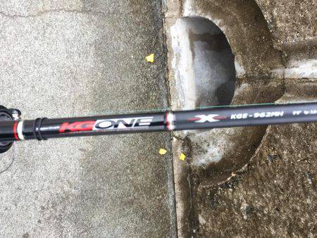 連日コウイカ狙いのはずが…