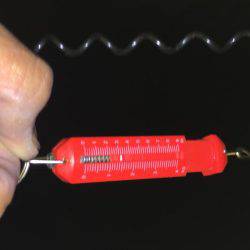 単身赴任釣行記