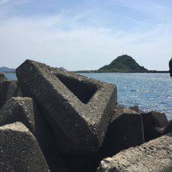 単身赴任釣行記