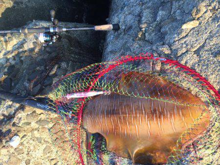 単身赴任釣行記 夢の大台❗️