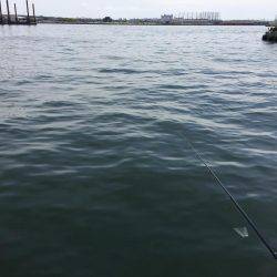 エビ撒き釣り！