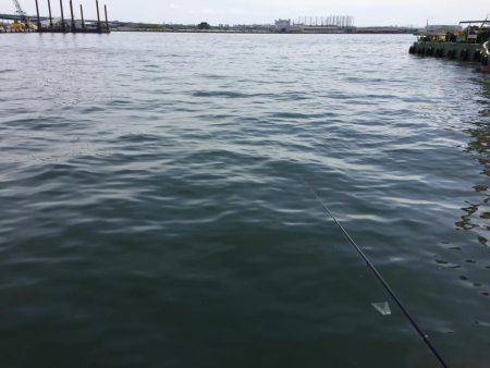 エビ撒き釣り！