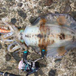 単身赴任釣行記