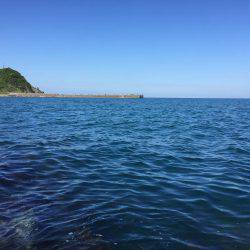 単身赴任釣行記 記録更新!