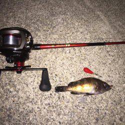 仕事終わりからの