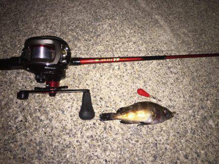 仕事終わりからの