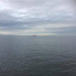 激ジブシーバス