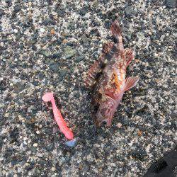 デイメバリングでラッキーな外道