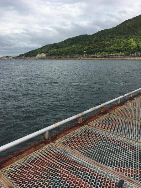 やっとエギング開幕 アオリじゃないけど