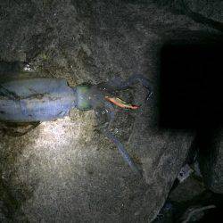 初のキロアップ