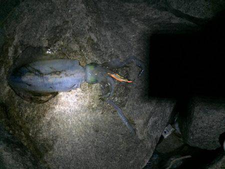 初のキロアップ