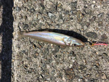 アブ新はどこ？