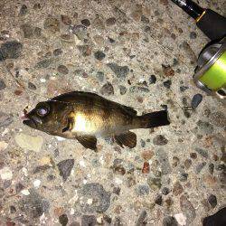 趣向を変えて‥