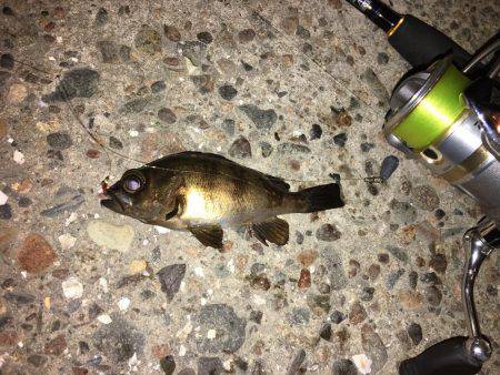 趣向を変えて‥