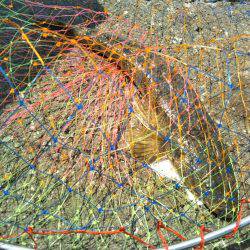 阿南市の辰巳でマゴチ