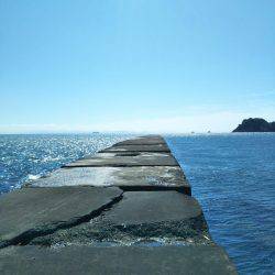 阿南市の辰巳周辺でマゴチ