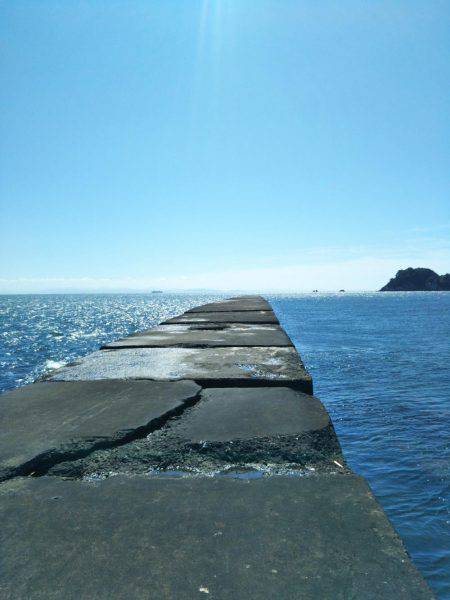 阿南市の辰巳周辺でマゴチ