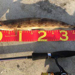 ライトショアジギング ガシリング