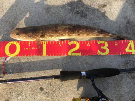 ライトショアジギング ガシリング