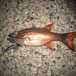 久米島リーフエッジ