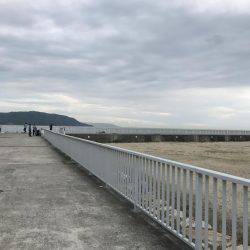 久しぶりのちょい投げ