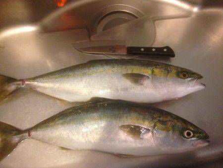 GW最終 はまちゃん2