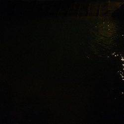 ボイル、ボイル、ボイル