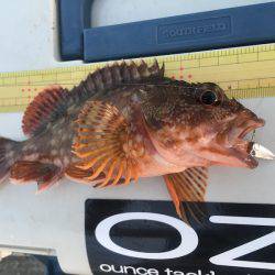 神戸沖堤防でライトワインド